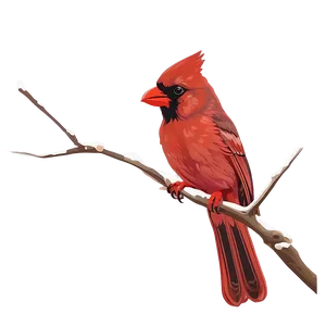 Red Cardinal Outline PNG 06292024 PNG