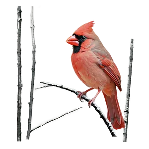 Red Cardinal Outline PNG Pxe99 PNG