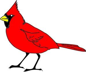 Red Cardinal Silhouette PNG image