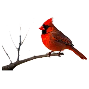 Red Cardinal Silhouette PNG 06292024 PNG