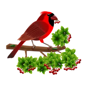 Red Cardinalon Branch PNG image