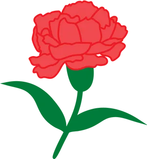 Red Carnation Vector Illustration PNG image
