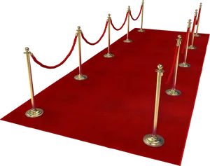 Red Carpet Event Entrance