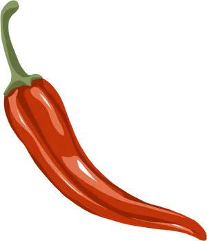 Red Chili Pepper Illustration PNG image