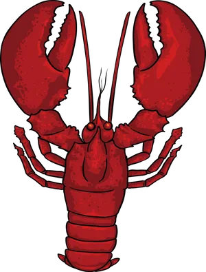 Red Crayfish Illustration PNG image