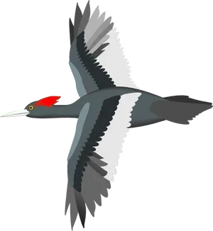 Red Crested Waterbird Illustration