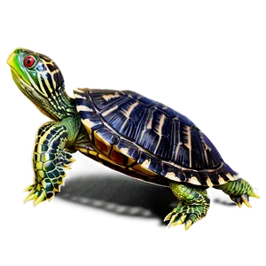 Red-eared Slider Turtle PNG Lca67