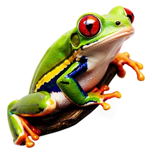 Red Eyed Tree Frog Clipart PNG 89