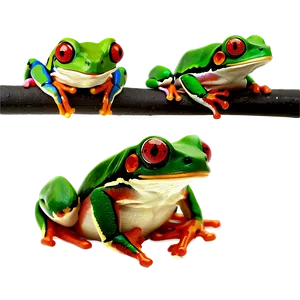 Red-eyed Tree Frog PNG 05032024