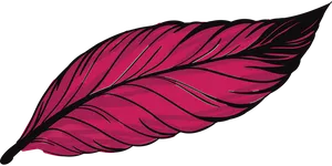 Red Feather Illustration.png PNG image