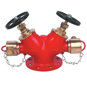 Red Fire Hydrant Siamese Connection PNG image