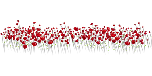 Red Floral Patternon Black Background
