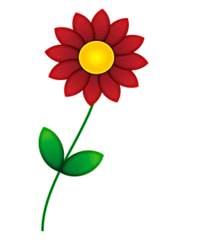 Red Flower Yellow Center Black Background.png