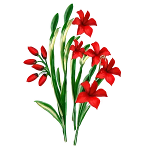 Red Flowers B PNG