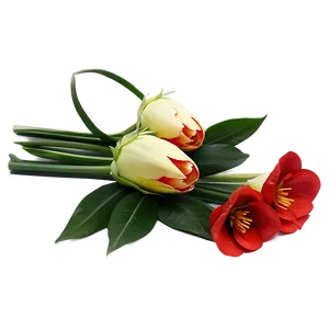 Red Flowers Bouquet Gift PNG 38 PNG