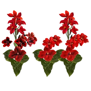 Red Flowers Close-up PNG Liu25 PNG