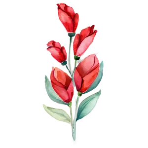 Red Flowers Watercolor PNG 06122024 PNG