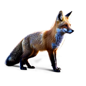 Red Fox At Night Png 06242024 PNG image