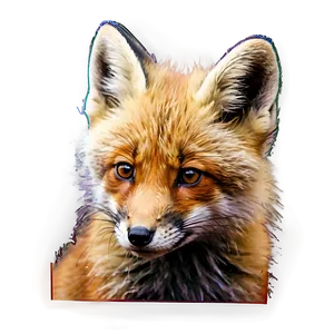 Red Fox Cub Png Wsn38 PNG image