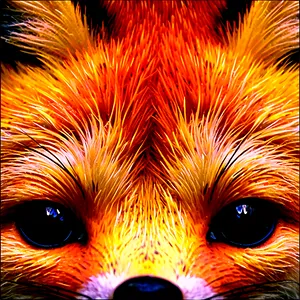 Red Fox Eyes PNG 2