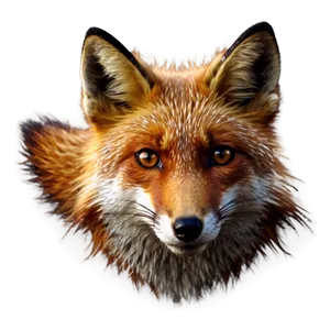 Red Fox Eyes PNG Csi35 PNG