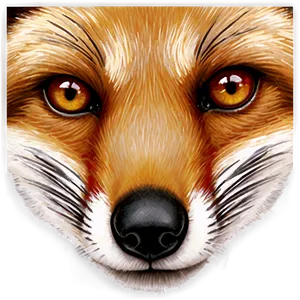 Red Fox Face Png 06242024 PNG image