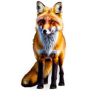 Red Fox Family PNG 06242024
