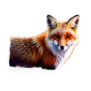 Red Fox Glance PNG Cmj