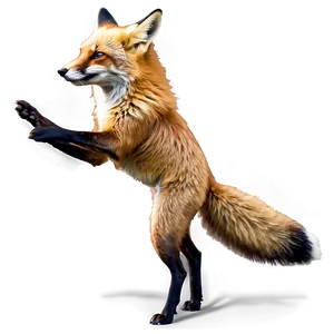 Red Fox Hunting PNG 23