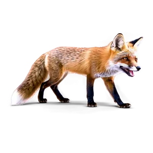 Red Fox In Action Png Vlc80 PNG image