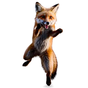 Red Fox Leap PNG Rnp1 PNG