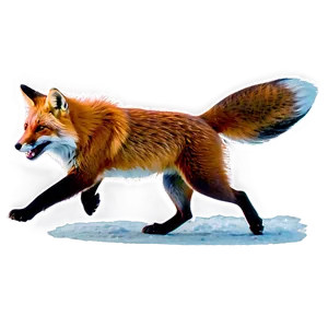 Red Fox Pouncing Png 13 PNG image