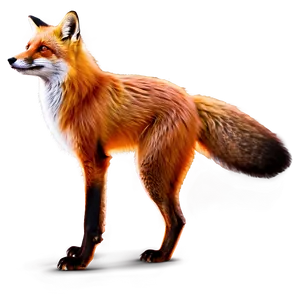 Red Fox Profile PNG Qdi87 PNG