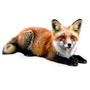 Red Fox With Cubs PNG 06242024