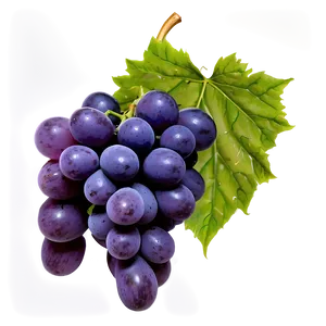 Red Globe Grape PNG Dck