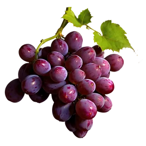 Red Globe Grape PNG Tuy