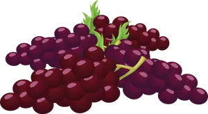 Red Grape Cluster Illustration