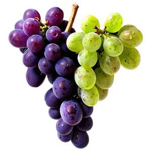 Red Grapes PNG Iae95