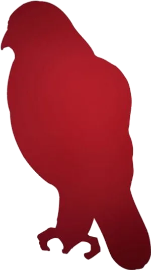 Red Hawk Silhouette Graphic PNG