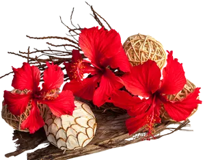Red Hibiscus Flowers Arrangement