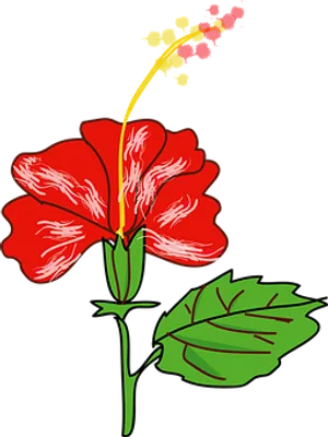 Red Hibiscus Vector Illustration