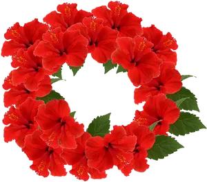 Red Hibiscus Wreath Transparent Background