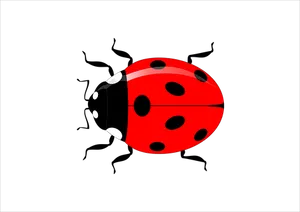 Red Ladybug Black Spots PNG image