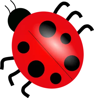 Red Ladybug Illustration.png PNG image