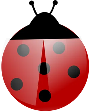 Red Ladybug Illustration PNG image