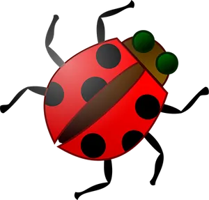 Red Ladybug Illustration PNG image