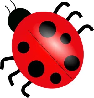 Red Ladybug Illustration