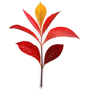 Red Leaf PNG 05032024