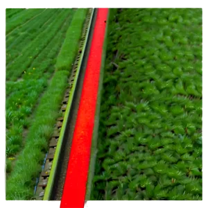 Red Line Path PNG 36 PNG