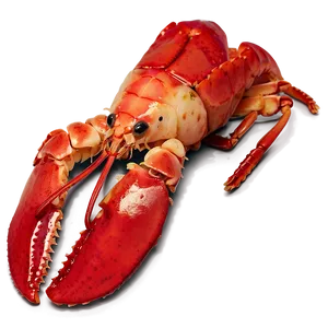 Red Lobster Culinary Png Jnw PNG image